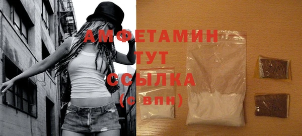 ГАЛЛЮЦИНОГЕННЫЕ ГРИБЫ Богданович